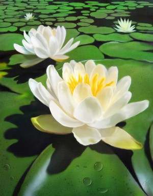 Water Lily Painting